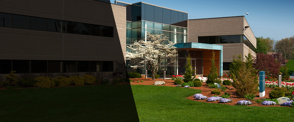 Forest Hills Landscapers