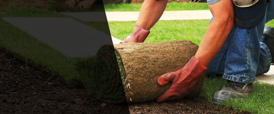 Forest Hills Landscapers
